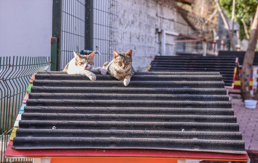 Antalya'da 3 Katlı, 64 Odalı 
