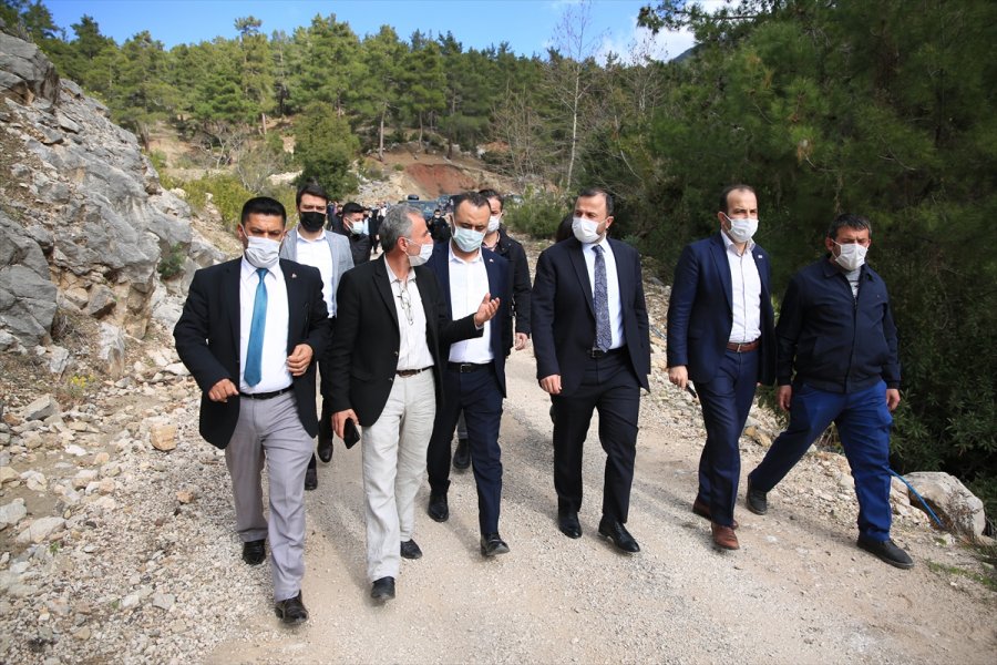 Antalya'da Hazine Arazilerindeki Ağaçların Kesildiğini İddia Eden Mahalleli Bölgede Nöbet Tutuyor