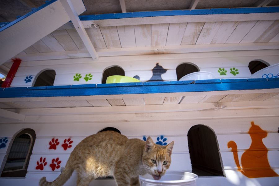 Antalya'da Hayata Geçirilen 