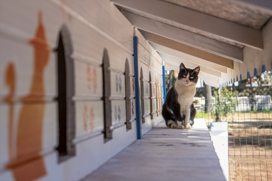 Antalya'da Hayata Geçirilen 