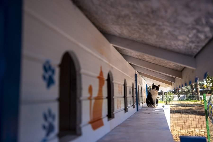 Antalya'da Hayata Geçirilen 