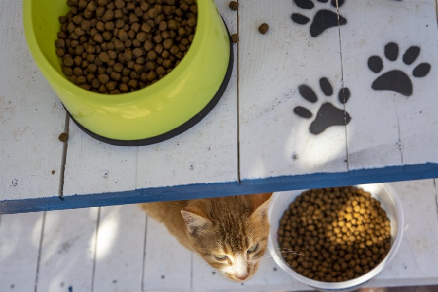 Antalya'da Hayata Geçirilen 
