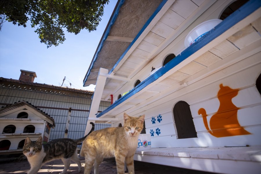 Antalya'da Hayata Geçirilen 