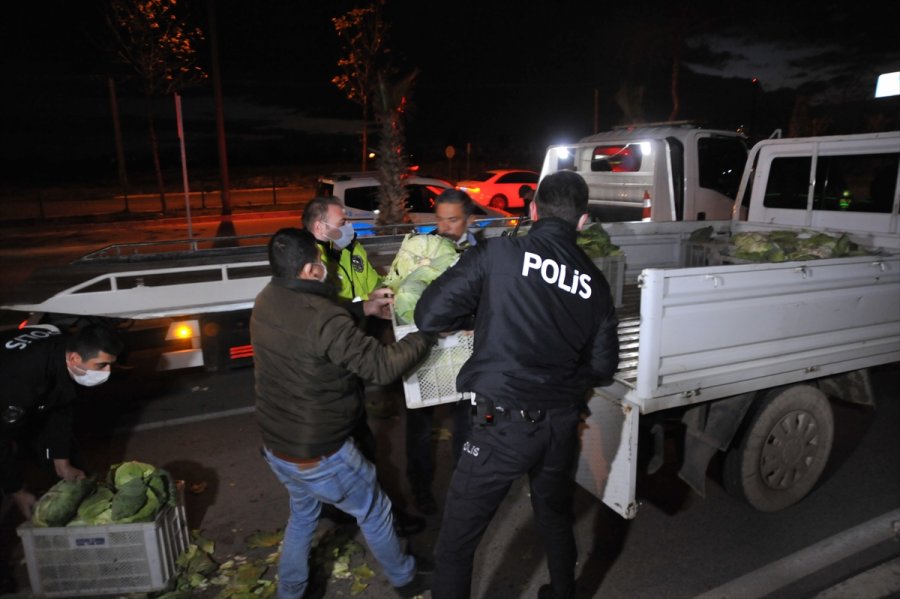 Antalya'da Kaza Nedeniyle Yola Saçılan Lahanaları Polisler Topladı