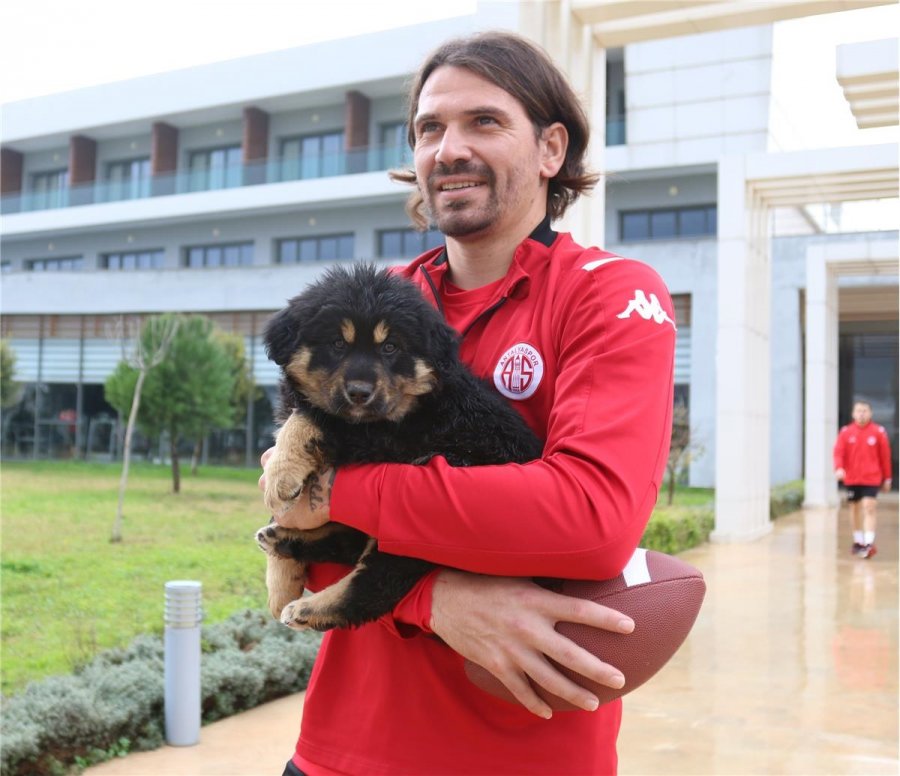Antalyaspor'un Yavru Köpekli Sevgililer Günü Paylaşımı İlgi Çekti