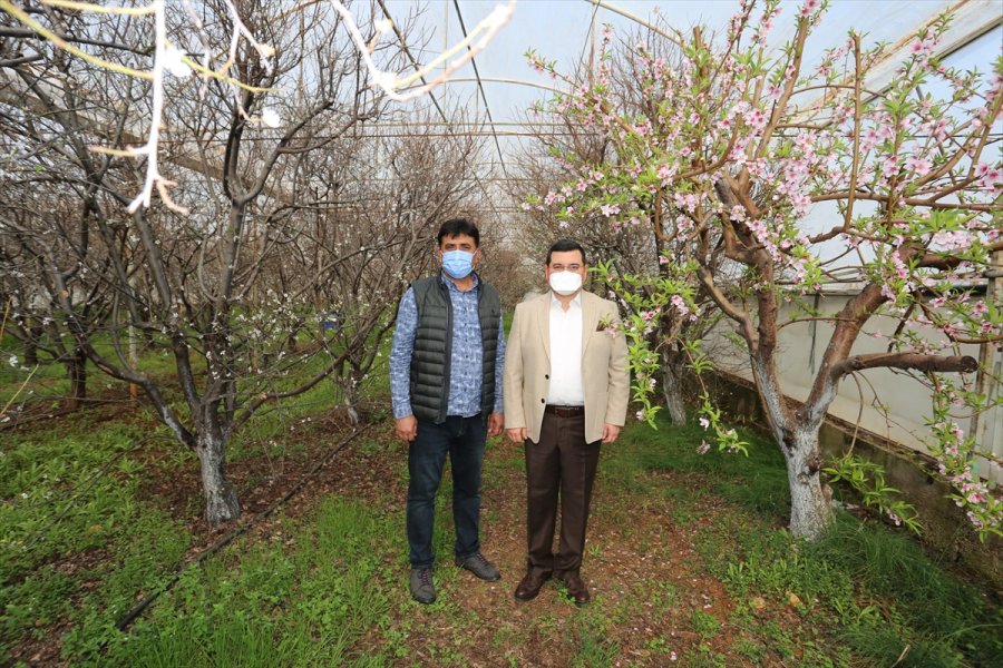 Kepez'den Kısa Kısa