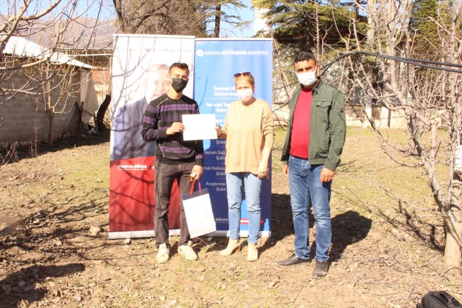 Elmalı'da Çiftçilere Budama Eğitimi Verildi