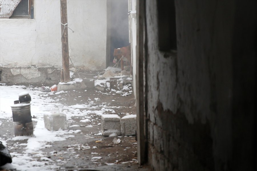 Kayseri'de Yangın Çıkan Metruk Evdeki 2 Köpek Kurtarıldı