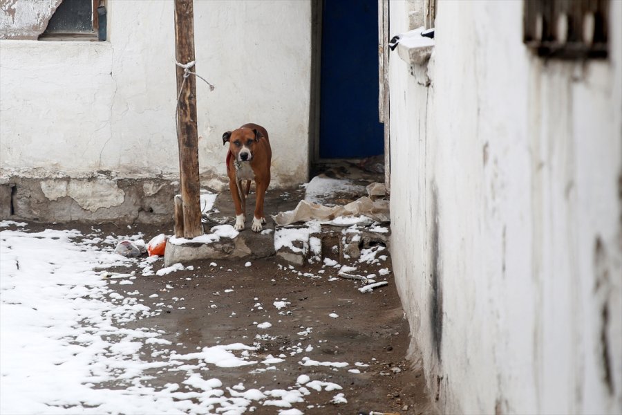 Kayseri'de Yangın Çıkan Metruk Evdeki 2 Köpek Kurtarıldı