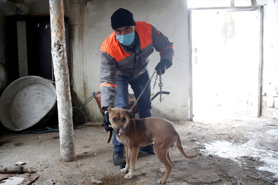 Kayseri'de Yangın Çıkan Metruk Evdeki 2 Köpek Kurtarıldı