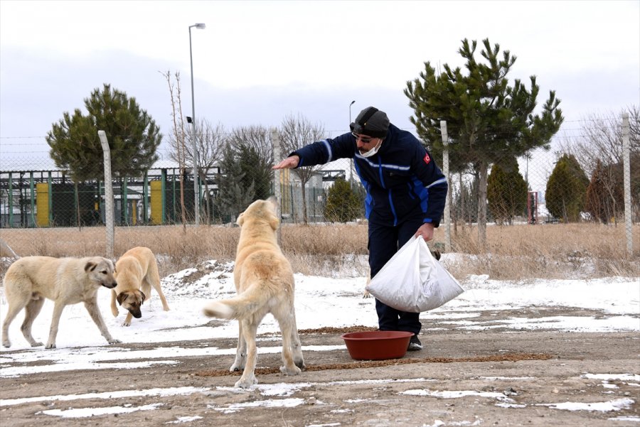 Konya Büyükşehir Belediyesi Kar Mesaisinde