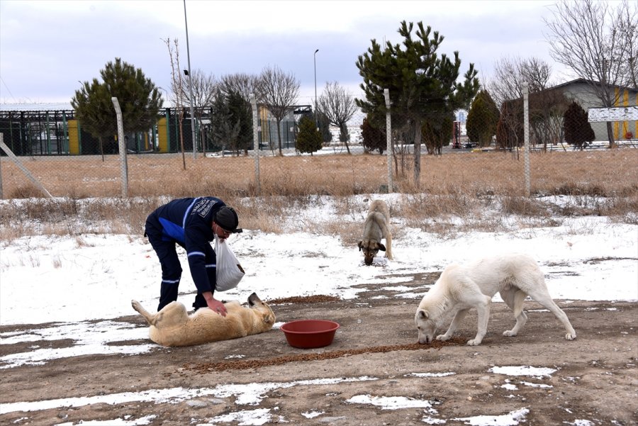 Konya Büyükşehir Belediyesi Kar Mesaisinde