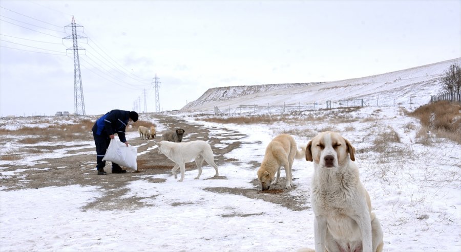 Konya Büyükşehir Belediyesi Kar Mesaisinde