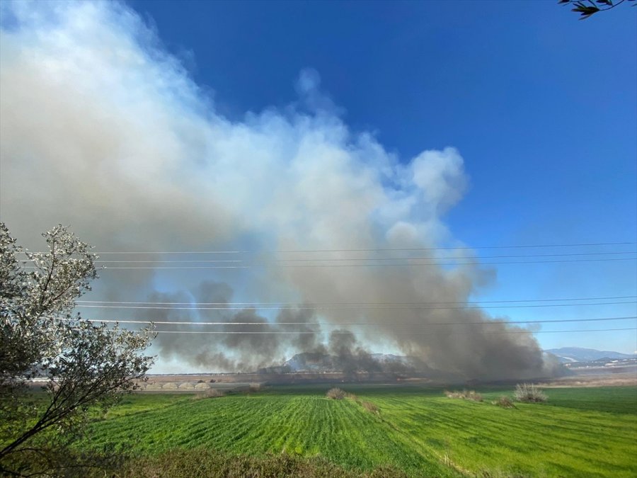 Güncelleme - Kaş'ta Sazlık Alanda Çıkan Yangın Seraları Tehdit Ediyor