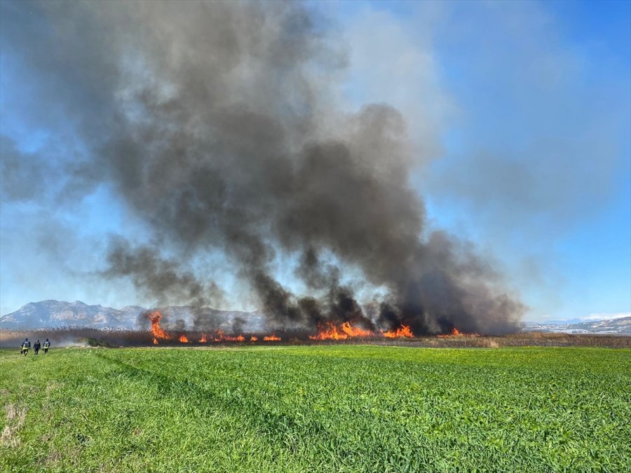 Güncelleme - Kaş'ta Sazlık Alanda Çıkan Yangın Seraları Tehdit Ediyor