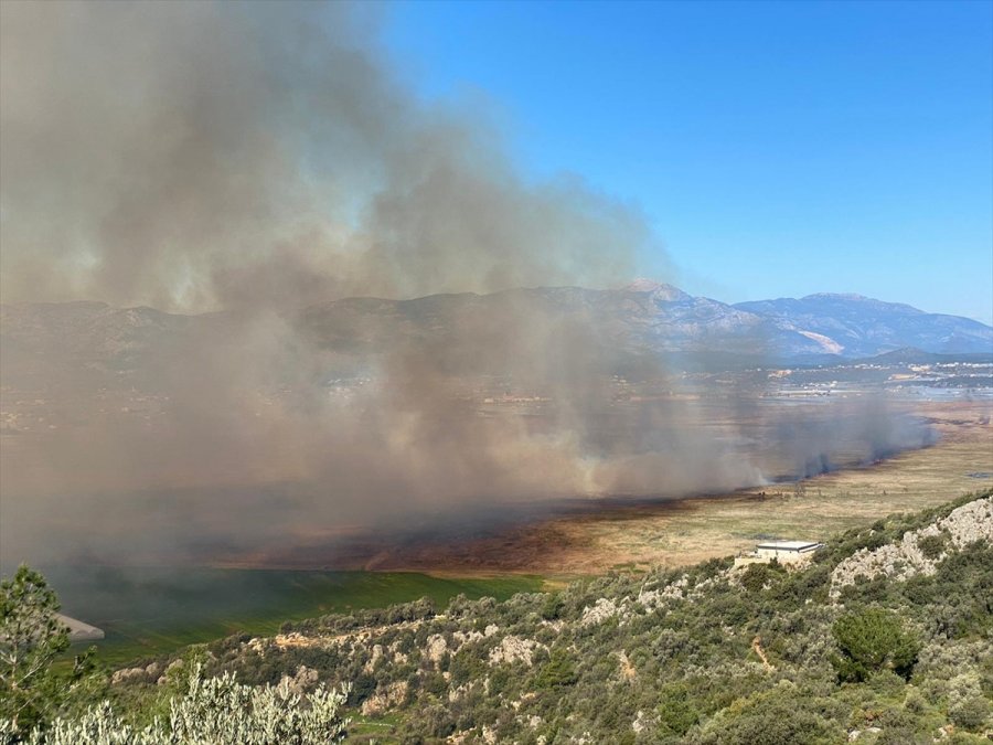 Güncelleme - Kaş'ta Sazlık Alanda Çıkan Yangın Seraları Tehdit Ediyor