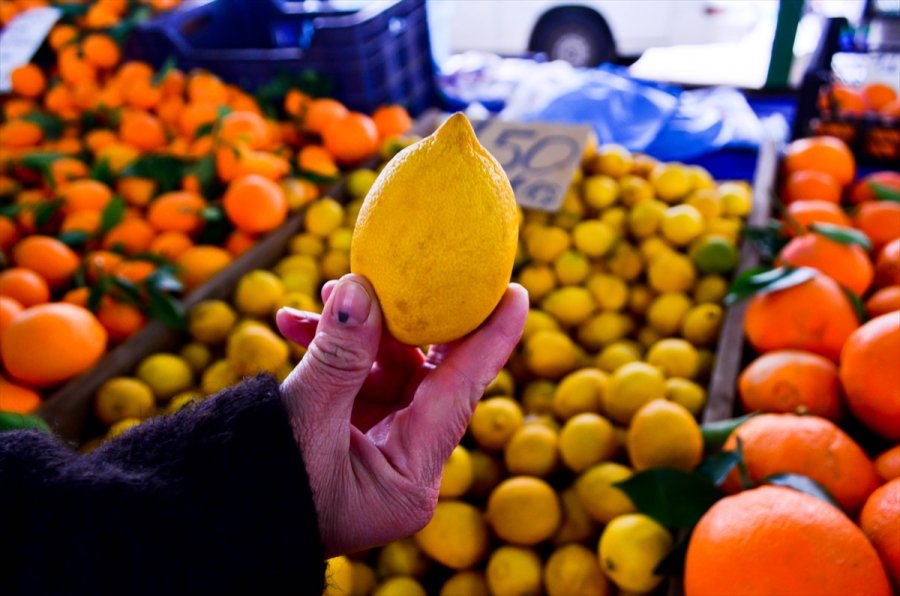 Türkiye'den Ocak Ayında 31,4 Milyon Dolarlık Limon İhraç Edildi