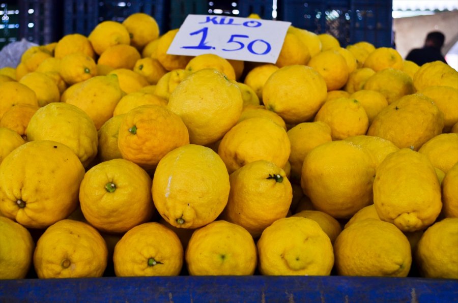 Türkiye'den Ocak Ayında 31,4 Milyon Dolarlık Limon İhraç Edildi