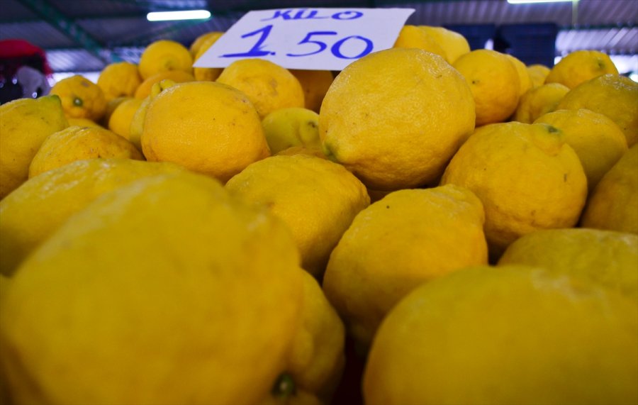 Türkiye'den Ocak Ayında 31,4 Milyon Dolarlık Limon İhraç Edildi