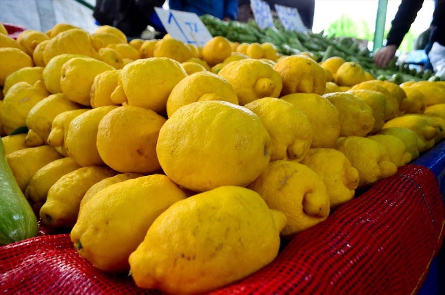 Türkiye'den Ocak Ayında 31,4 Milyon Dolarlık Limon İhraç Edildi
