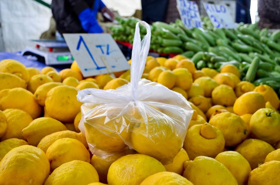 Türkiye'den Ocak Ayında 31,4 Milyon Dolarlık Limon İhraç Edildi