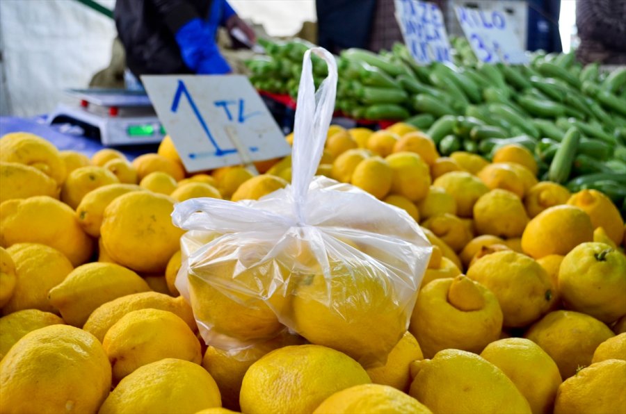 Türkiye'den Ocak Ayında 31,4 Milyon Dolarlık Limon İhraç Edildi