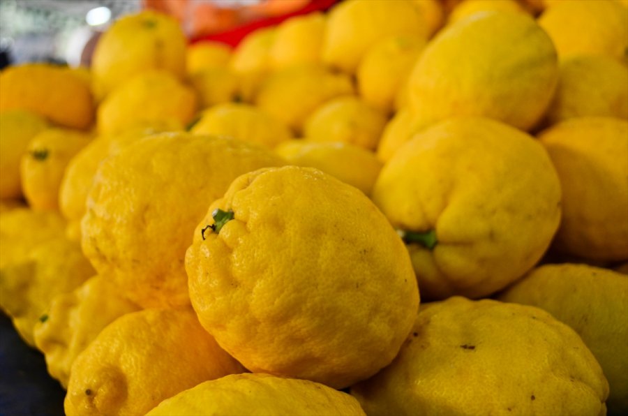 Türkiye'den Ocak Ayında 31,4 Milyon Dolarlık Limon İhraç Edildi
