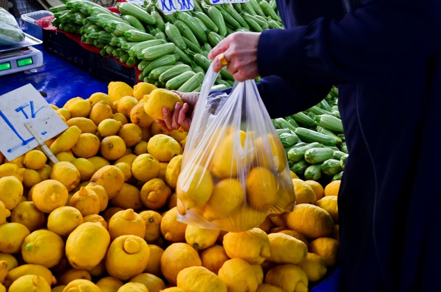 Türkiye'den Ocak Ayında 31,4 Milyon Dolarlık Limon İhraç Edildi
