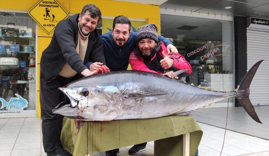 Alanya'da Oltayla 85 Kilogramlık Orkinos Yakalandı