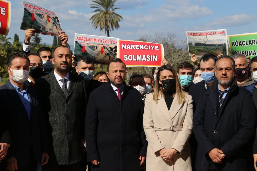 Antalya'da Narenciye Ağaçlarının Kesilmesine Tepki Gösterildi