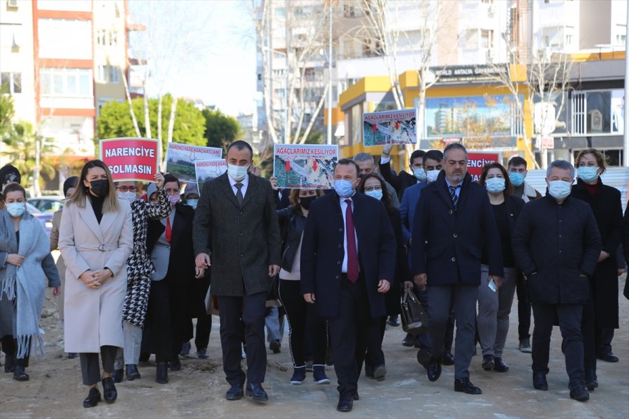 Antalya'da Narenciye Ağaçlarının Kesilmesine Tepki Gösterildi