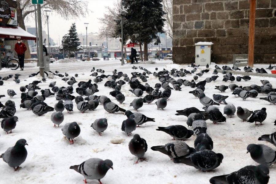 Kayseri'de Kar Yağışı Etkili Oluyor