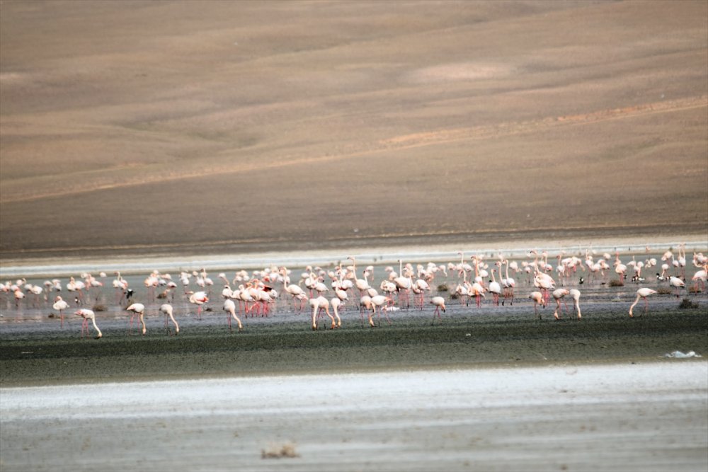 Düden Gölü'nün Su Seviyesinde Düşüş Devam Ediyor