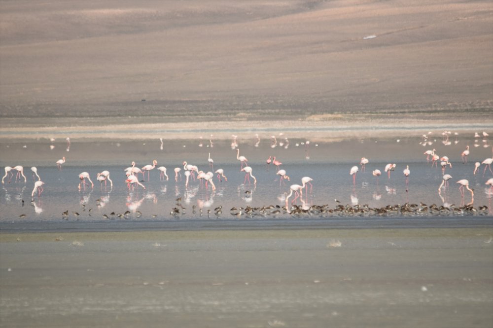 Düden Gölü'nün Su Seviyesinde Düşüş Devam Ediyor