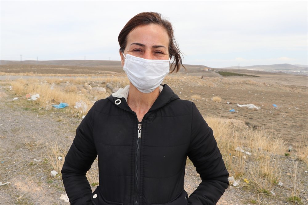 Niğde Valiliğinden Ölü Vaşak Açıklaması