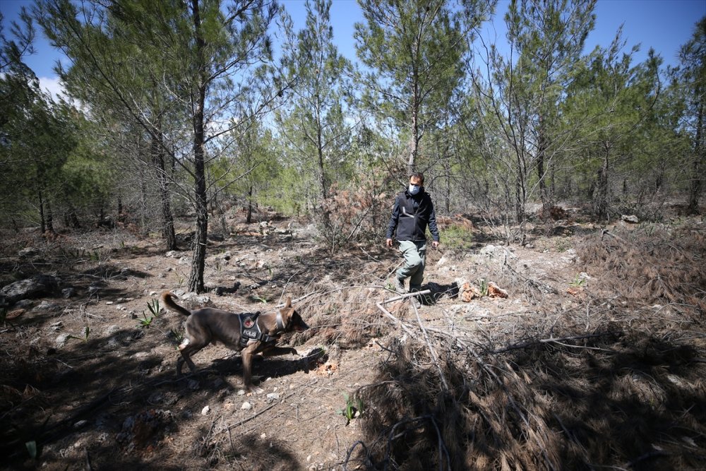 Antalya'da 10 Gündür Haber Alınamayan Sağlık Çalışanını Arama Çalışmaları Sürüyor