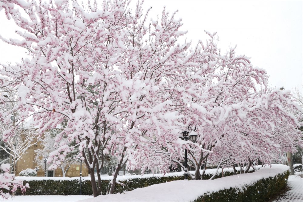 Kayseri, Niğde ve Çevre İllerde Kar Yağışı Etkili Oluyor
