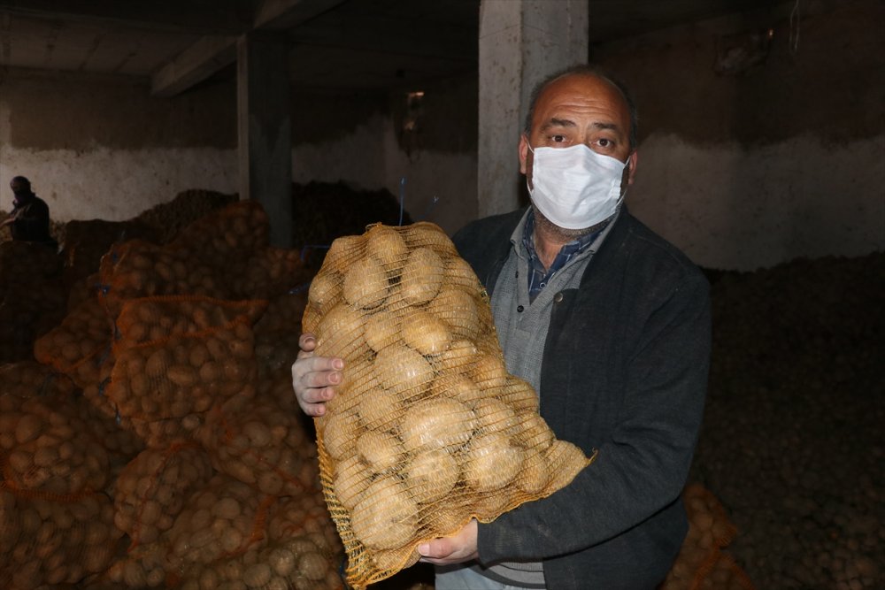 Patates Alımı Yapılan Niğdeli Çiftçiler, Cumhurbaşkanı Erdoğan'a Teşekkür Etti