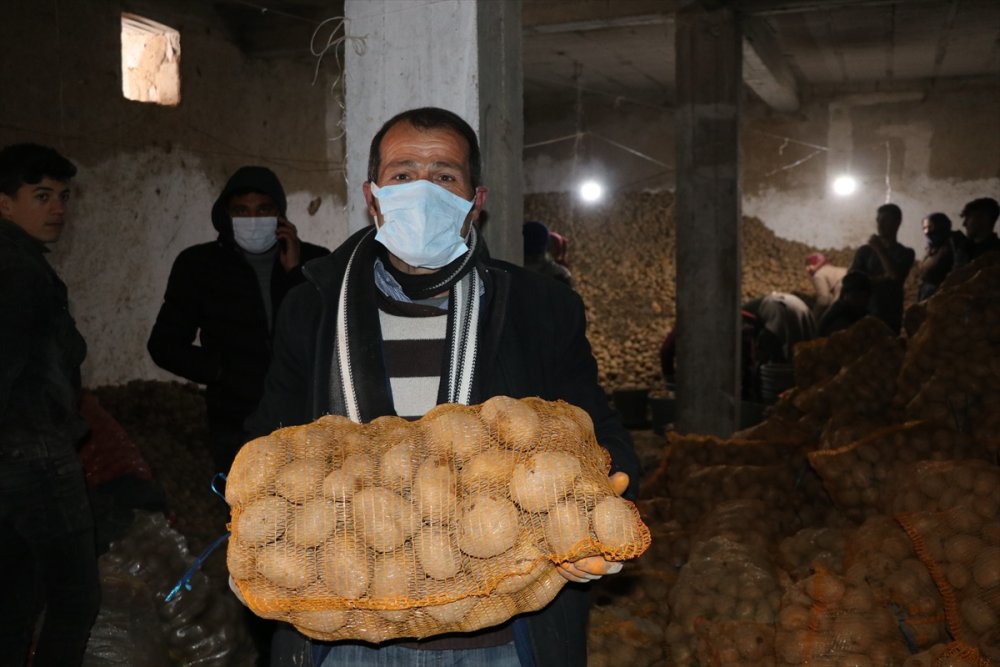 Patates Alımı Yapılan Niğdeli Çiftçiler, Cumhurbaşkanı Erdoğan'a Teşekkür Etti