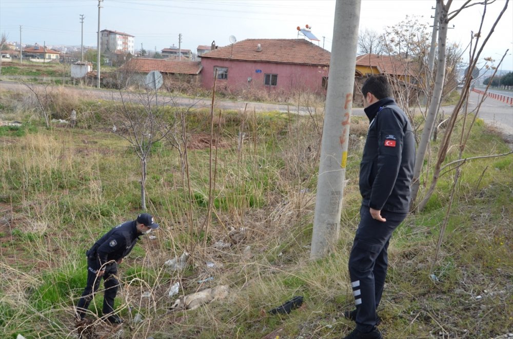 Aksaray'da Otomobilin Çarptığı Köpek Haydi Ekiplerince Kurtarıldı