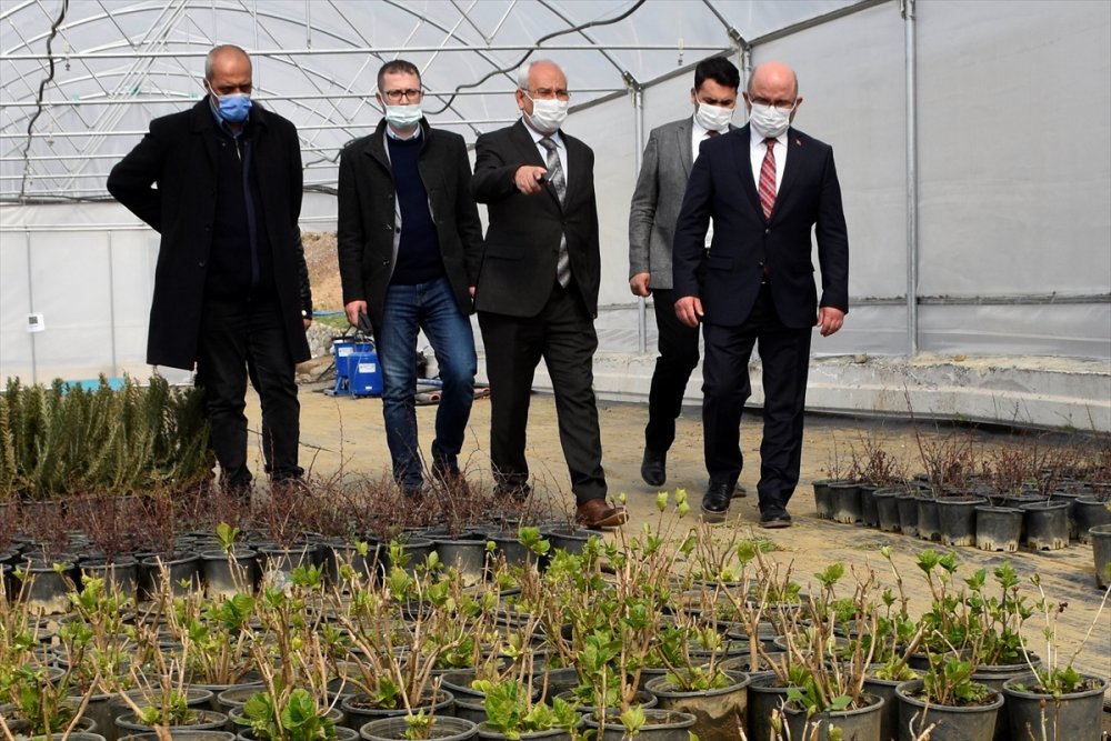 Kop İdaresinden Madde Bağımlısı Gençlere Tarım Teşviği