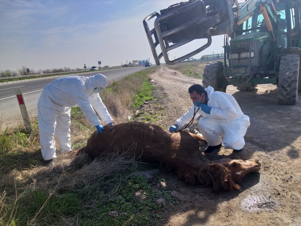 Aksaray'da Duyarsız Sürücünün Hatasını Bir Başka Sürücü Telafi Etti