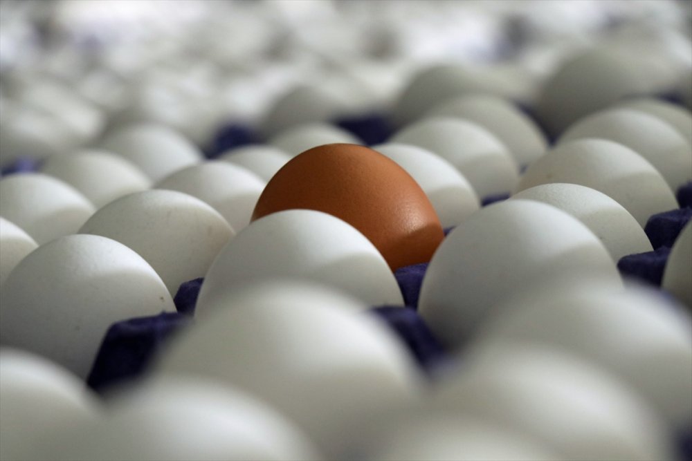 Yum-bir Başkanı Afyon, Yumurta Fiyatlarını Değerlendirdi: