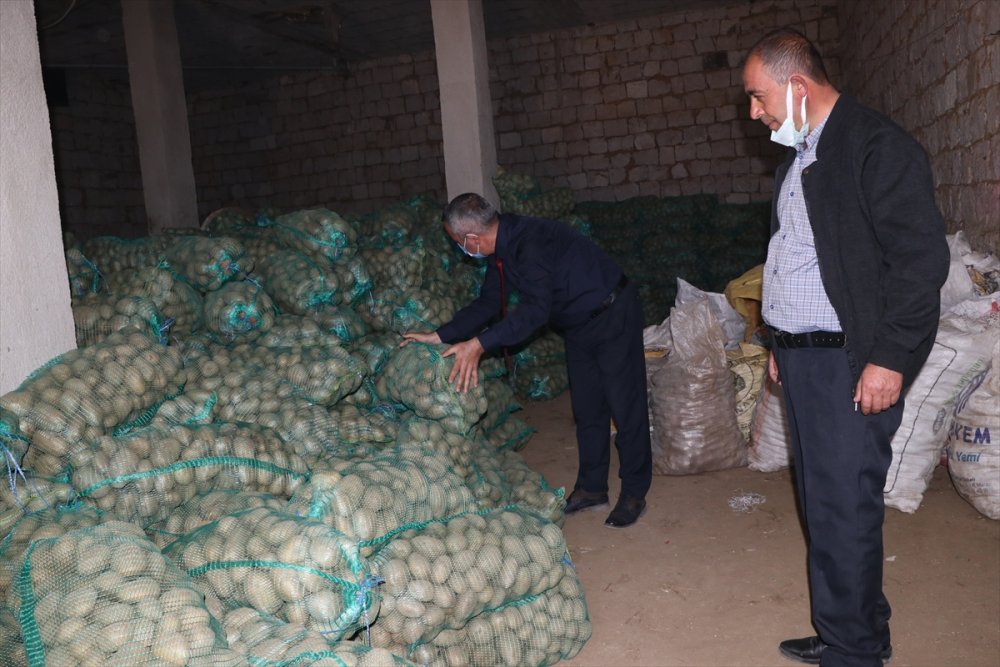 Niğde Ve Nevşehir'deki Tüketim Fazlası 35 Bin Ton Patates İhtiyaç Sahiplerine Dağıtıldı