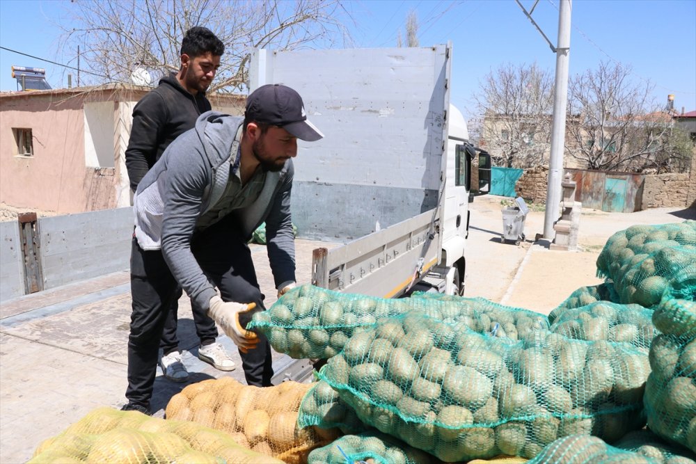 Niğde Ve Nevşehir'deki Tüketim Fazlası 35 Bin Ton Patates İhtiyaç Sahiplerine Dağıtıldı
