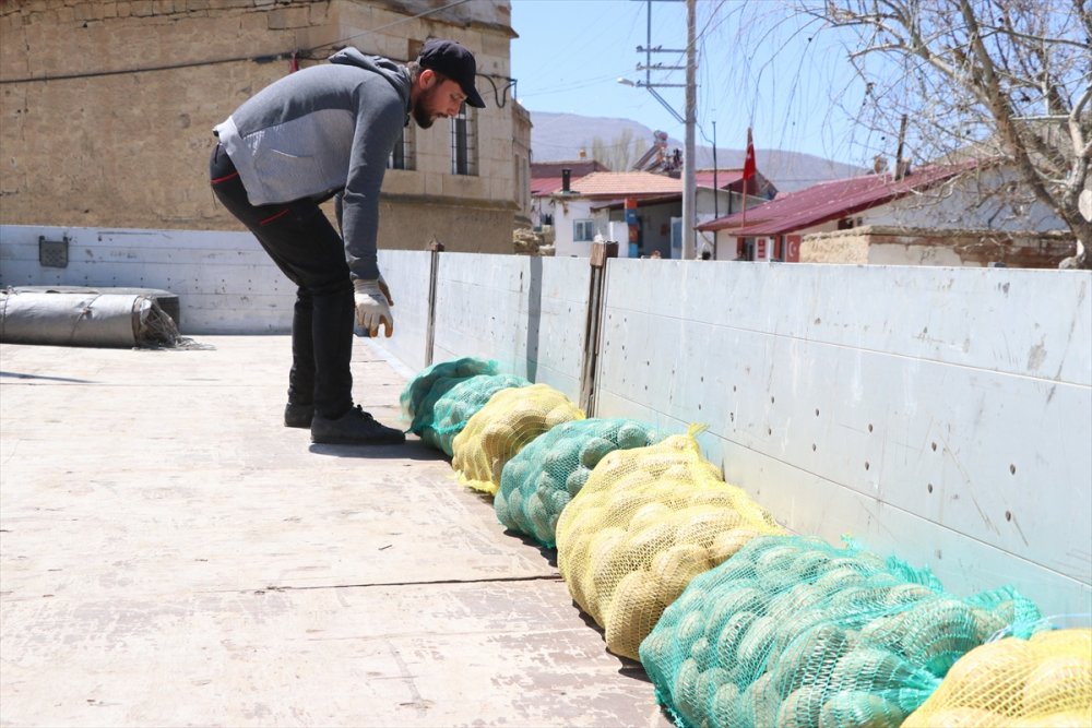 Niğde Ve Nevşehir'deki Tüketim Fazlası 35 Bin Ton Patates İhtiyaç Sahiplerine Dağıtıldı