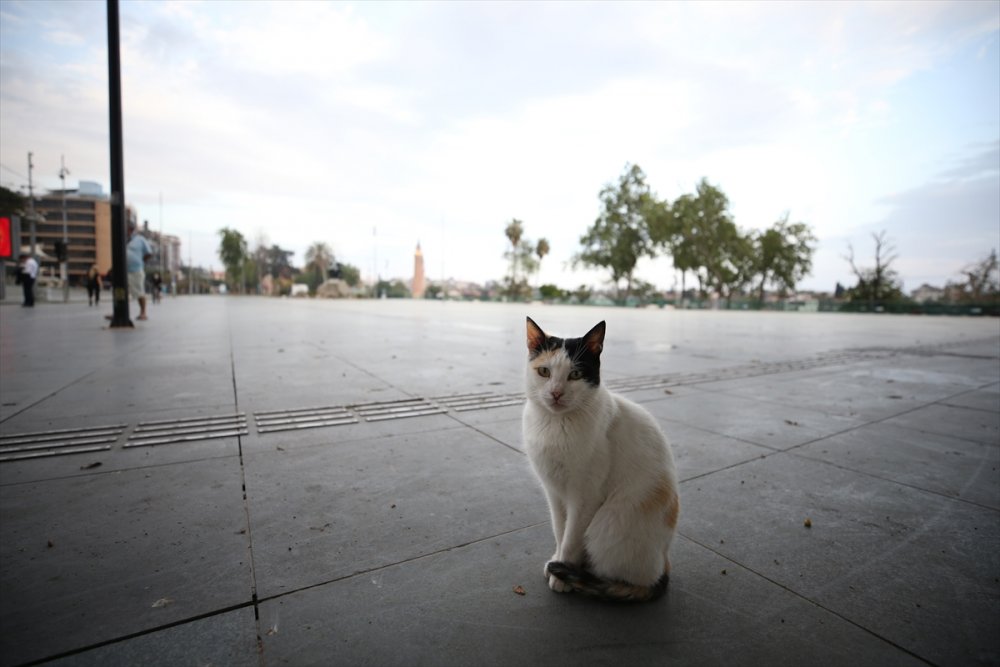 Antalya, Muğla, Burdur Ve Isparta "tam Kapanma"nın Ardından Sessizliğe Büründü