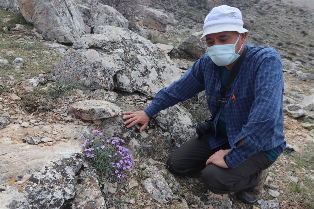 Karaman'ın Dağlarını Endemik Bitkilerle Donatacak