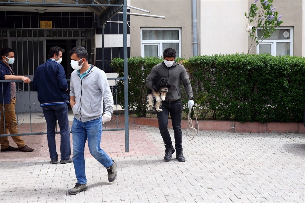 Sürekli Havlayan Köpek Ölen Sahibini Buldurdu