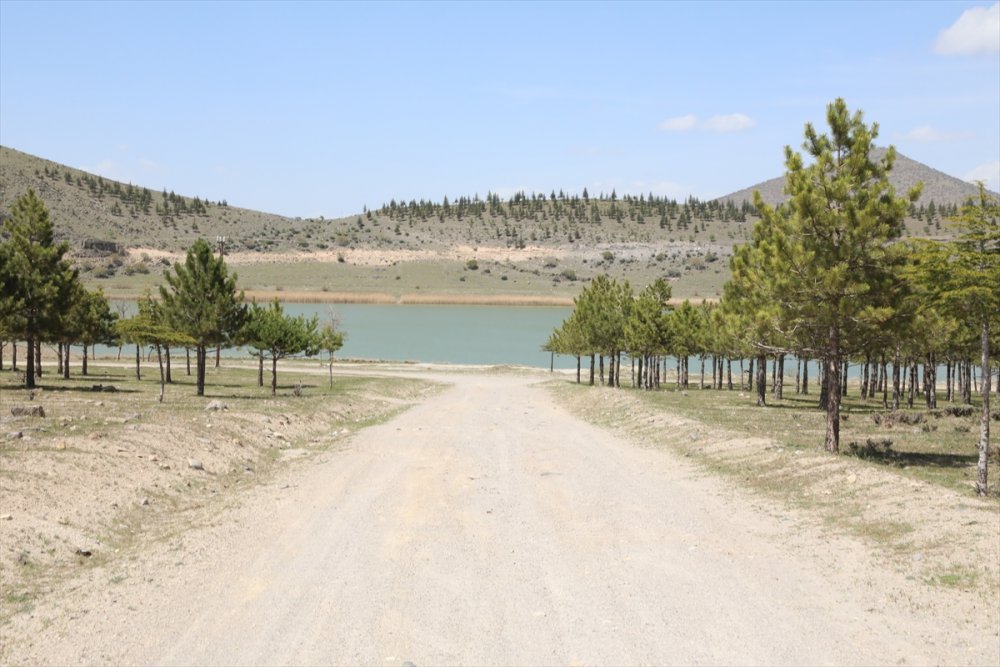 Niğde Ve Aksaray Narlıgöl'ü Turizme Kazandırmak İçin Çalışma Başlattı